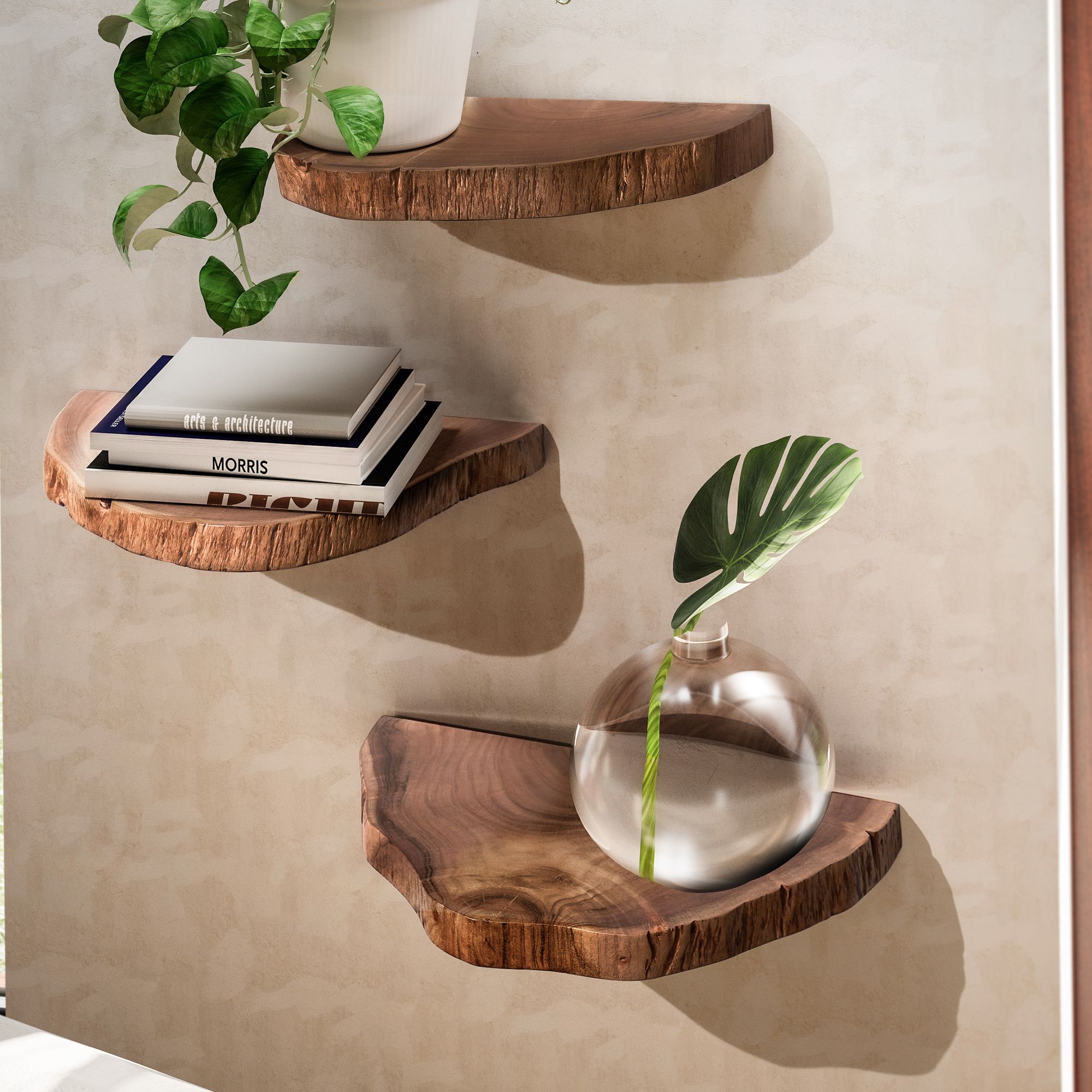 3-delige set wandplanken van massief acaciahout | Natuurlijk lichtbruin | 44-49,5x4,5x21-26 cm